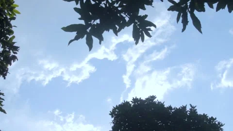 Cumulus castelanus clouds shining with the sun Stock Footage 235513814