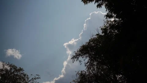 Cumulus cloud building over trees against blue sky Vídeo Stock 347535824