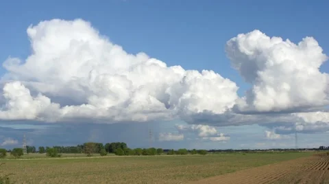 Cumulus clouds above a corn field (timelapse) Stock Footage 51379185