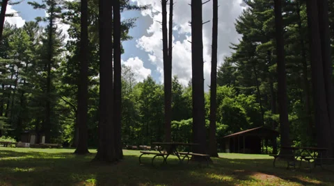 Cumulus clouds against light blue sky - 4K Ultra HD time lapse Video stock 39808520