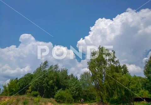 Cumulus clouds in the blue sky above the forest Stock Photos