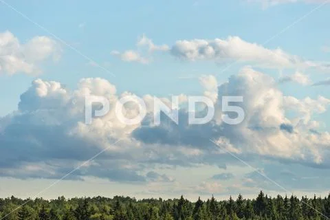 Cumulus clouds on blue sky over forest horizon in summer Stock Photos