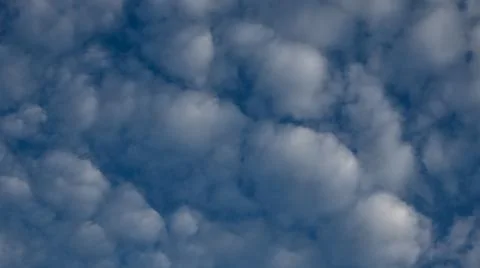 Cumulus Clouds in a Blue Sky Stock-Fotos