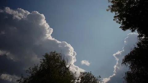 Cumulus clouds building over trees against blue sky Vídeos de archivo 347535825