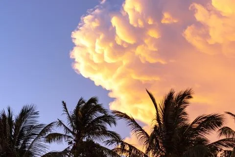 Cumulus clouds of during sunset on a background of palm trees. Stock Photos