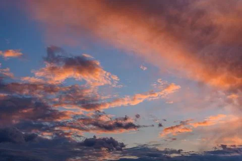 Cumulus clouds on evening sky backlit with sunset Фото