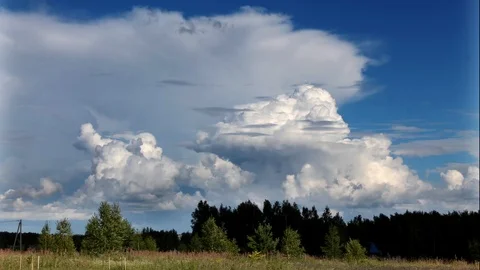 Cumulus Clouds floating in the sky on a sunny day timelapse Stock Footage 92093902