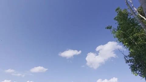 Cumulus clouds Stock Footage 312389885