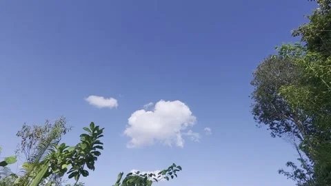 Cumulus clouds Stock Footage 312389890