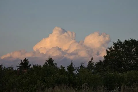 Cumulus clouds glow with warm sunset light above a dark forest canopy Stock Photos