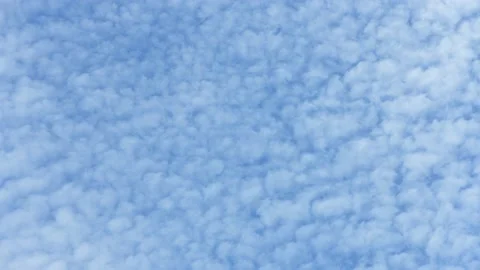 Cumulus clouds with lambs. Cloud time lapse. Puffy fluffy white clouds. Stock Footage 161065642