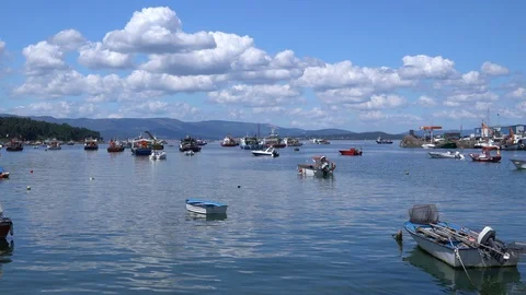 Cumulus clouds over bay Stock Footage 100666051
