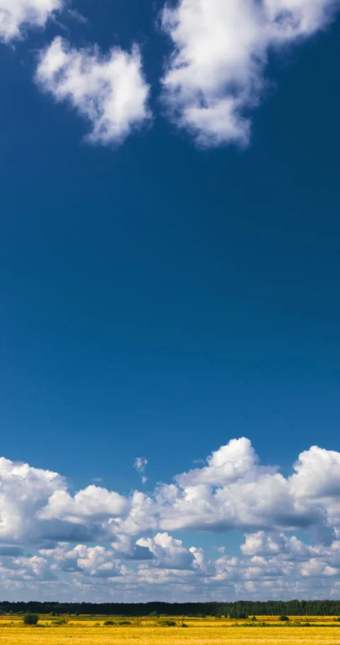 Cumulus clouds over field and forest vertical timelapse Stock Footage 330366936
