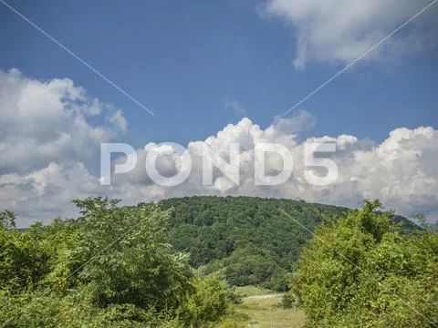 Cumulus clouds over the forest Stock Photos