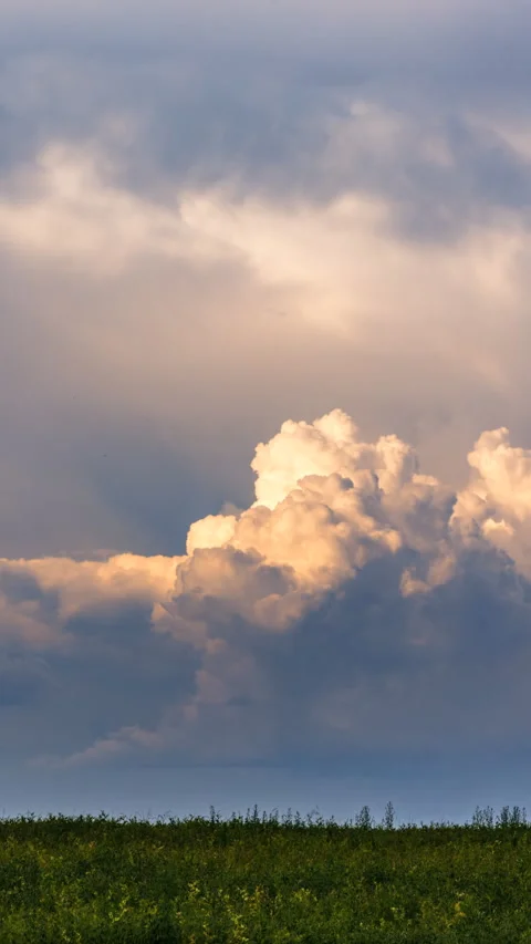 Cumulus clouds over a green field time lapse Stock Footage 293312574