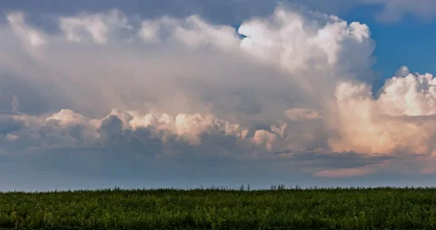 Cumulus clouds over a green field Stock Footage 293312911