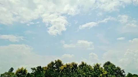 Cumulus Clouds Over Green Forest Treeline Stock Footage 345975949
