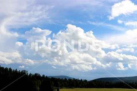 Cumulus clouds over tops of green trees Stock Photos