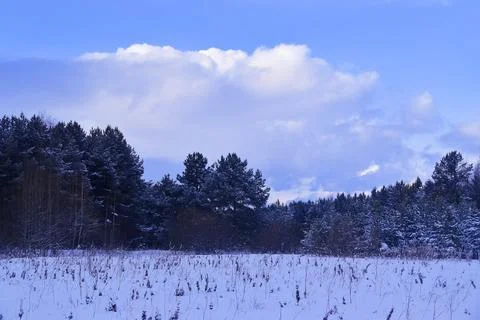 Cumulus clouds over the Ural winter forest. Frontal weather change. Stock Photos