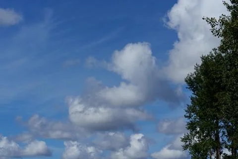 Cumulus clouds 写真素材
