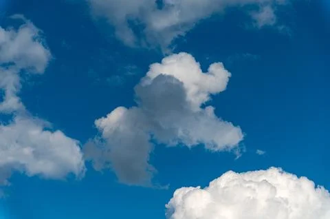 Cumulus clouds in the shape of animals in a blue sky. Stock Photos