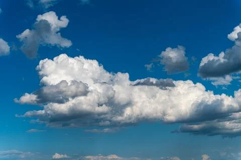 Cumulus clouds in the shape of animals in a blue sky. Stock Photos