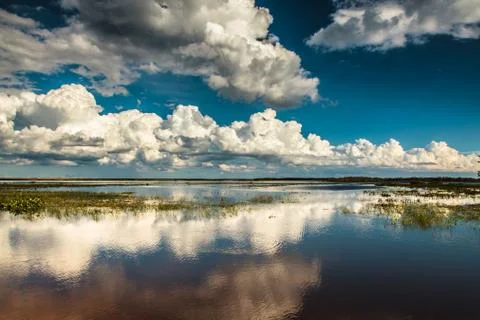 Cumulus Clouds Wetlands Reflection 스톡 사진