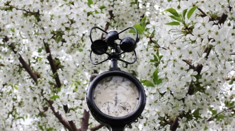 The Cup Anemometer 2 Video stock 50849960