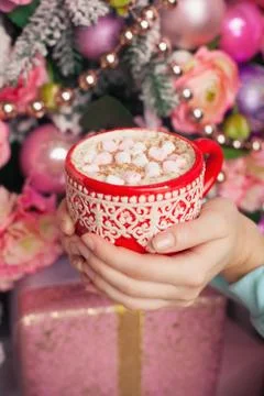 A cup of aromatic cocoa with marshmellow in the hands just before christmas e Stock Photos