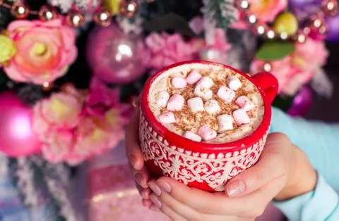 A cup of aromatic cocoa with marshmellow in the hands just before christmas e Stock Photos