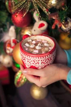 A cup of aromatic cocoa with marshmellow in the hands just before christmas e Stock Photos