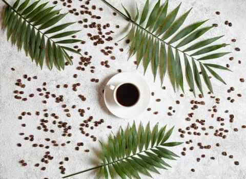 Cup of black espresso on a white creative concrete background with coffee beans Stock Photos