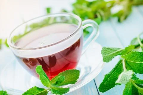 Cup of black tea with fresh mint Stock Photos
