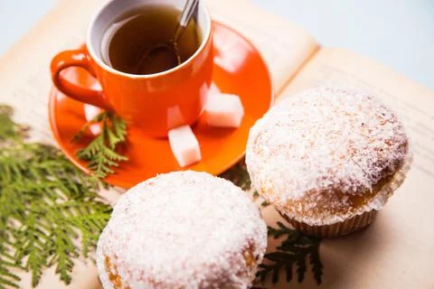Cup on the book Stock Photos
