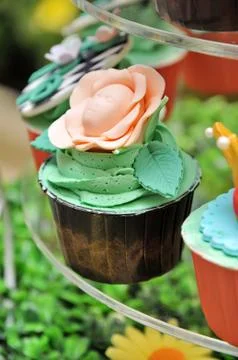 Cup cake Stock Photos