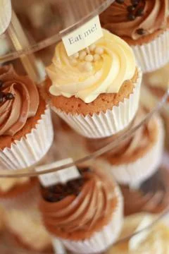 Cup cake selection Stock Photos