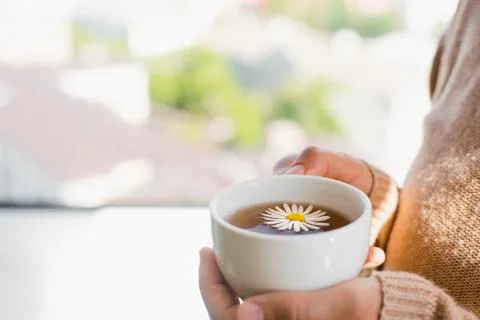 Cup of calming herbal chamomile tea in woman hands Stock Photos