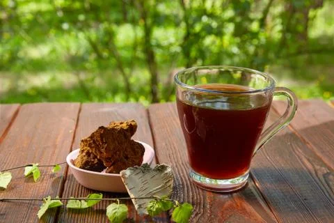 Cup of chaga tea on a dark table. Chaga mushroom slices and a birch twig. Stock Photos