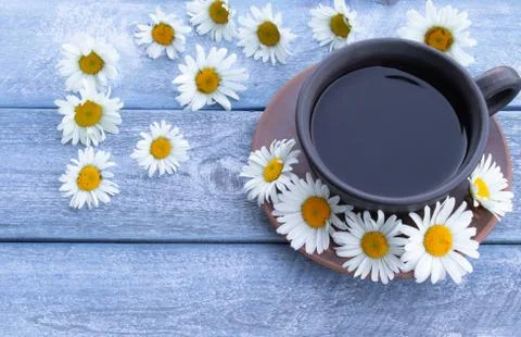 A cup of chamomile tea and chamomile flowers on wooden blue background. Stock Photos