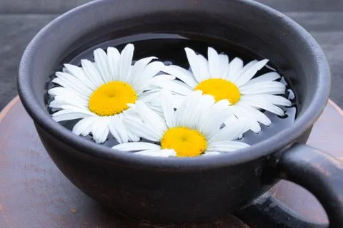 Cup of chamomile tea and chamomile flowers on wooden background. Stock Photos