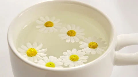 Cup of chamomile tea on a white background with flower buds inside Stock Footage 171546368
