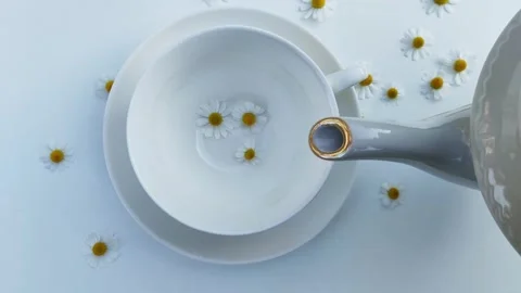 A cup of chamomile tea on a white background with flower buds inside. Lifestyle  Vidéo 241223350