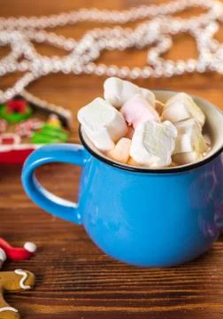 Cup of cocoa with marshmallow. Stock Photos