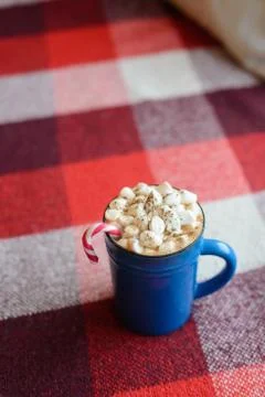 Cup of cocoa with marshmallows Stock Photos