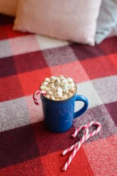 Cup of cocoa with marshmallows Stock Photos