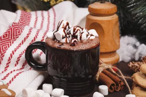 Cup of cocoa Stock Photos