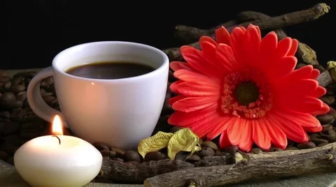 Cup of Coffee and Red Flower Stock Footage 59761421