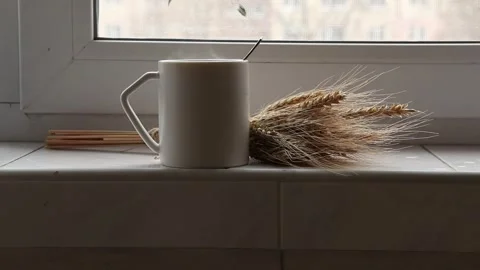 Cup of coffee and steam on the window and ears of wheat Stock Footage 265013108