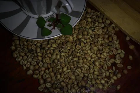 Cup of coffee on the background of coffee beans Stock-Fotos