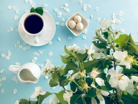 A cup of coffee on the background of flowering branches of apple trees. Stock Photos